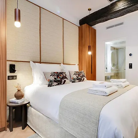 Luxury In The Heart Or Paris-notre Dame *