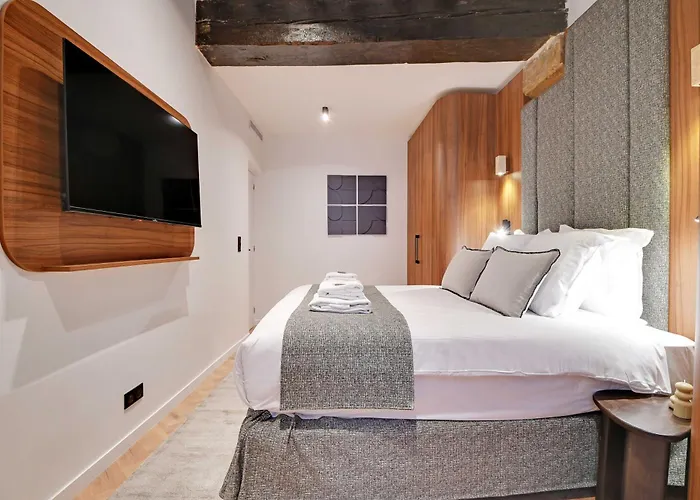 Luxury In The Heart Or Paris-notre Dame *