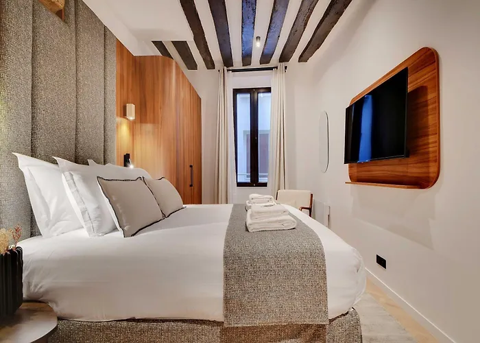 Luxury In The Heart Or Paris-notre Dame Paříž